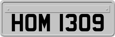 HOM1309