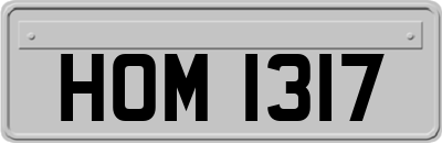 HOM1317