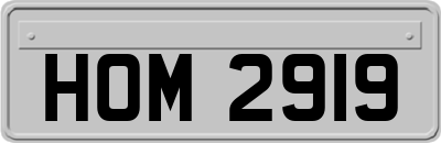 HOM2919