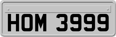 HOM3999