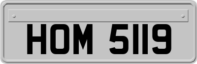 HOM5119