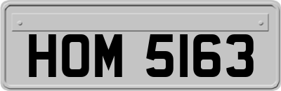 HOM5163