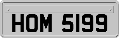 HOM5199