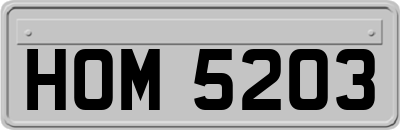 HOM5203