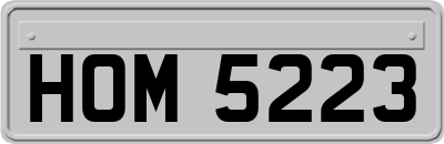 HOM5223