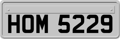 HOM5229