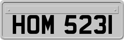 HOM5231