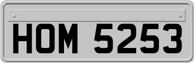 HOM5253