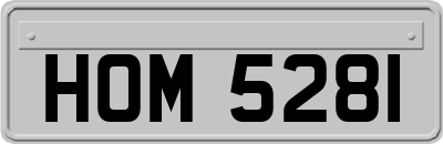 HOM5281