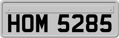 HOM5285