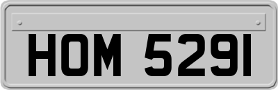 HOM5291