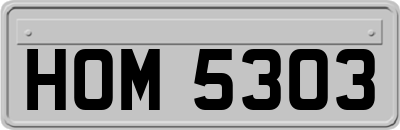 HOM5303