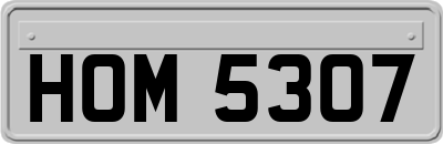 HOM5307