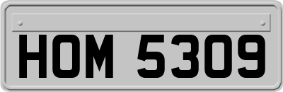 HOM5309