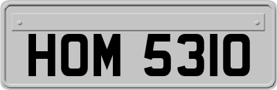 HOM5310