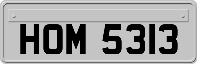 HOM5313