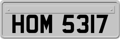 HOM5317