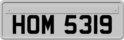 HOM5319