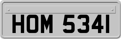 HOM5341