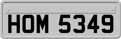 HOM5349