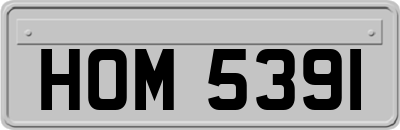 HOM5391