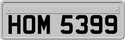 HOM5399