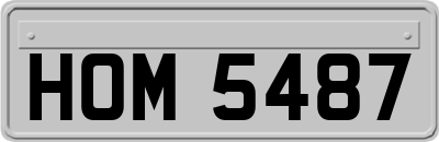 HOM5487