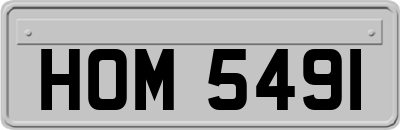 HOM5491