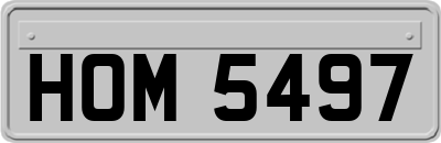 HOM5497