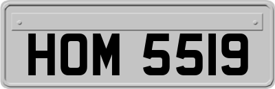 HOM5519