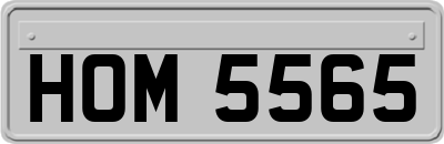 HOM5565