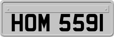 HOM5591