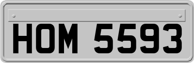 HOM5593