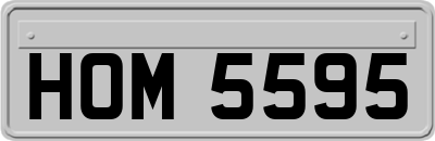 HOM5595