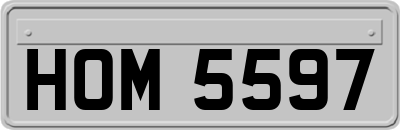 HOM5597