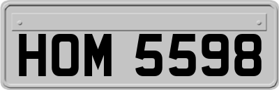 HOM5598