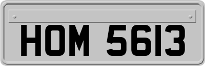 HOM5613