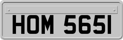 HOM5651