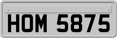 HOM5875