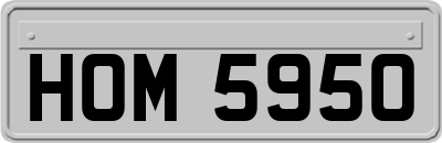 HOM5950