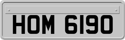 HOM6190