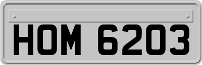 HOM6203