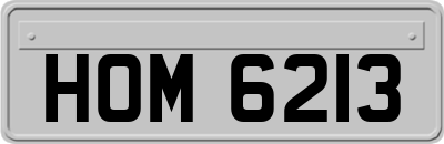 HOM6213