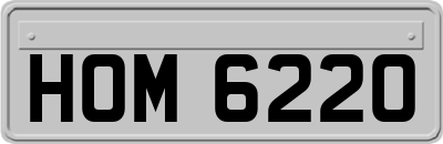 HOM6220