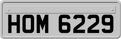 HOM6229