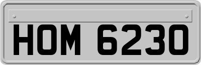 HOM6230