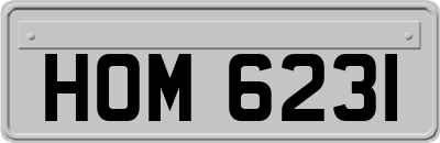 HOM6231