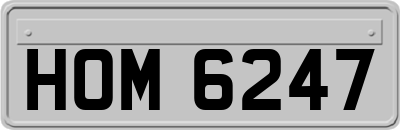 HOM6247