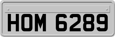 HOM6289