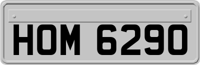 HOM6290